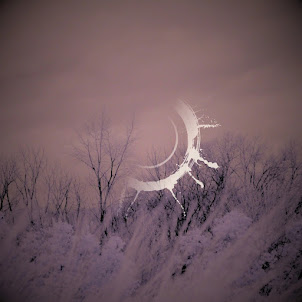 Asava — Don'T Go
