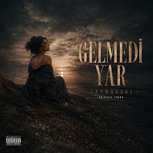 Ceydovski — Gelmedi Yar