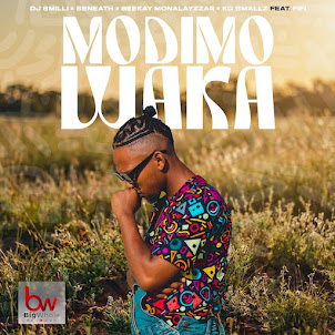 Dj 8Milli — Modimo Waka (Feat. Fifi) (feat. Kg Smallz & Beekay Monalayzzar & Seneath)