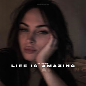 Dj Gamid — Life Is Amazing