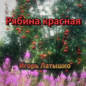 Игорь Латышко — Рябина Красная
