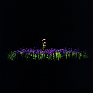 Jessica Shy — Ne Ne Ne