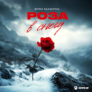Мурат Калакуток — Роза В Снегу