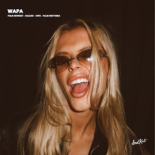 Palm Monkey — Wapa (feat. Dalexo & Gipx & Palm Brothers)