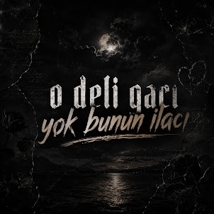 Tolga Karaoğlan — O Deli Gacı Yok Bunun Ilacı (feat. Leblach & Efesnipit)