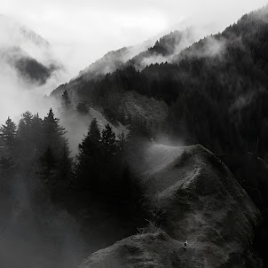 Wxlfmere — Ревіли Гори