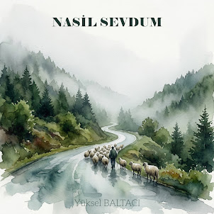 Yüksel Baltacı — Nasi̇l Sevdum