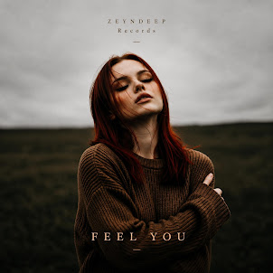 Zeyndeep — Feel You